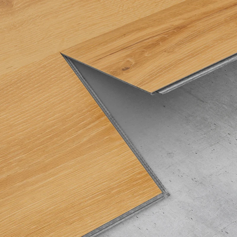 Stejar Ginger photo6